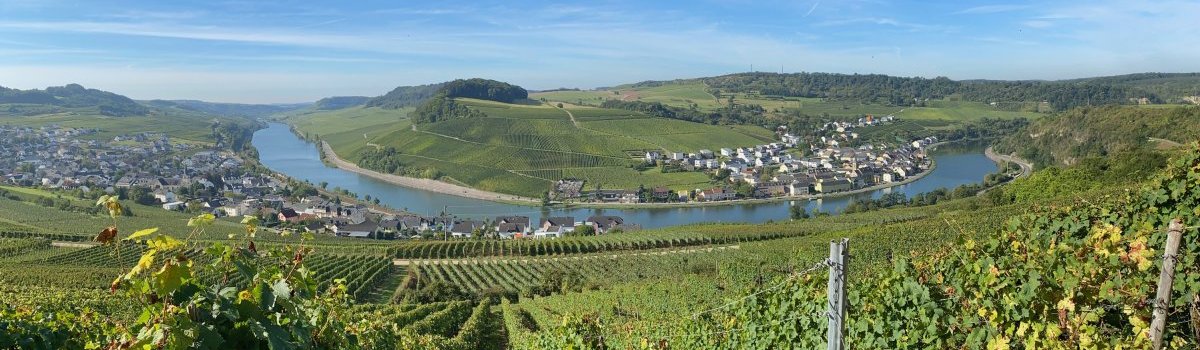 Mosel