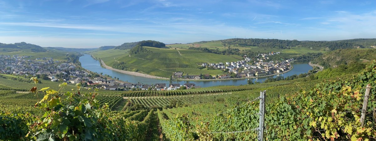 Mosel