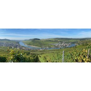 Mosel