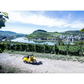 Weingut Befort