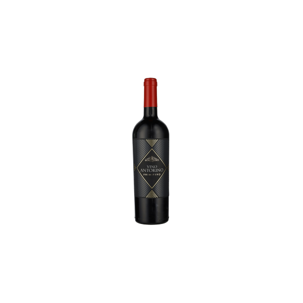 Montedidio Antorino Primitivo 2020 Vine Falkensten Vin