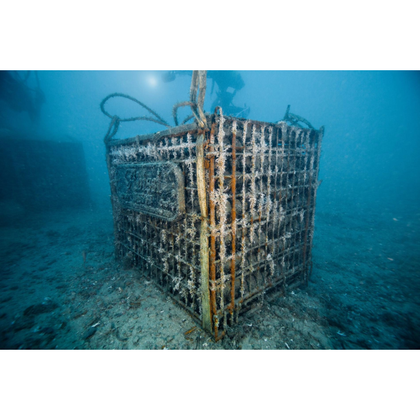 CUVEE ABYSS BRUT ZERO �KO Champagne Leclerc Briant, Epernay 2017