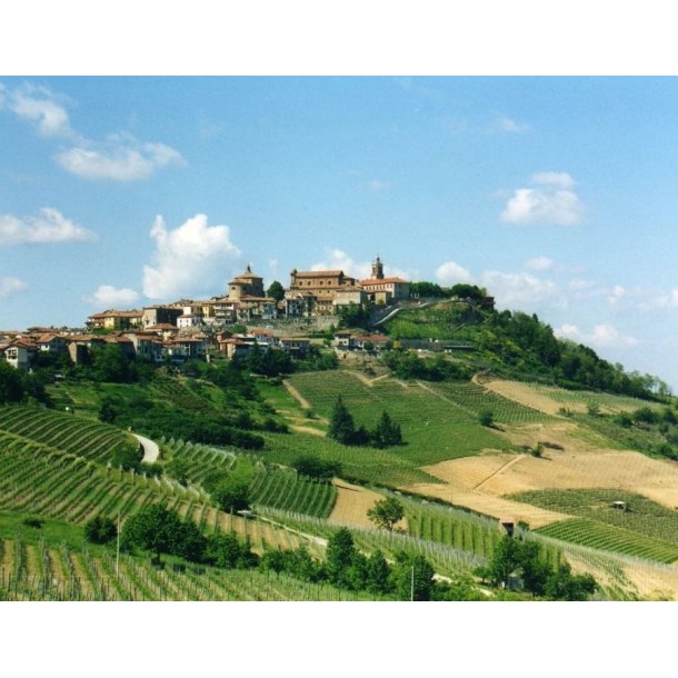 Barolo Berri Trediberri 2021