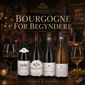 Bourgogne for begyndere - Fredag d. 4. september kl. 19:00