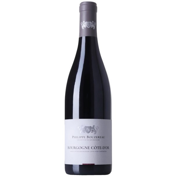 Bourgogne Rouge Cote DOr Domaine Philippe Bouzereau 2022