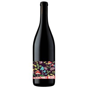 Mendo Pinot Noir  Mendocinos Coastal Vineyards Leo Steen 2020