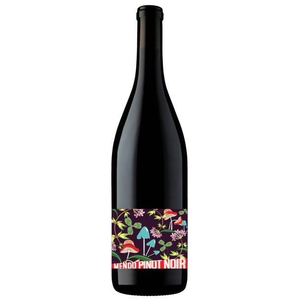 Mendo Pinot Noir  Mendocinos Coastal Vineyards Leo Steen 2020