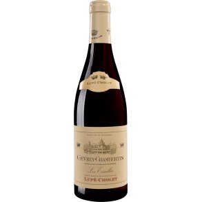 GEVREY CHAMBERTIN LES EVOCELLES Lupe-Cholet 2020