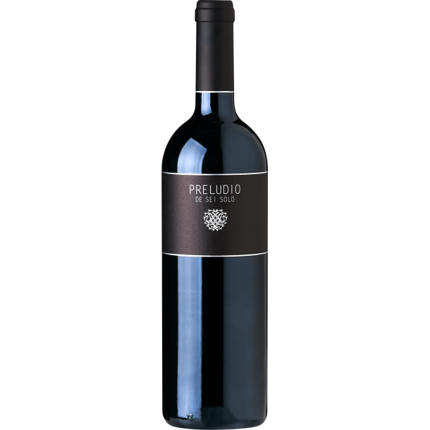 Preludio Ribera del Duero Sei Solo 2020