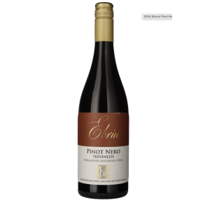 Ebrius Pinot Nero Trevenezie IGT 2024
