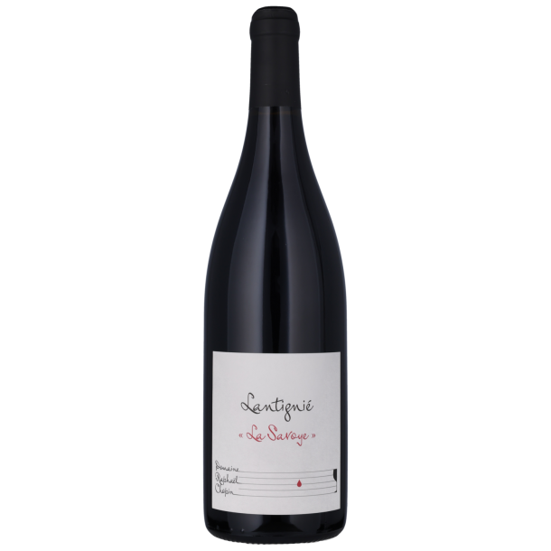 BEAUJOLAIS VILLAGES LANTIGNIE LA SAVOYE Domaine Raphael Chopin 2022