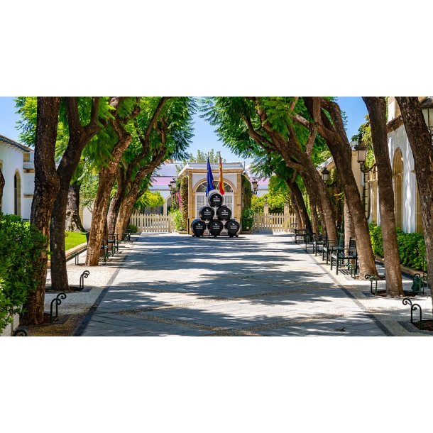 VETERANO BRANDY 30% Osborne, Jerez