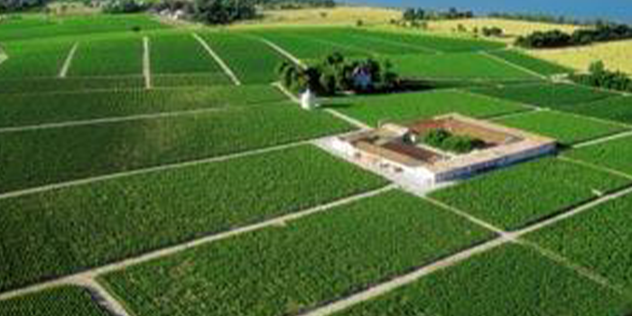 Haut-Medoc