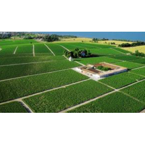 Haut-Medoc