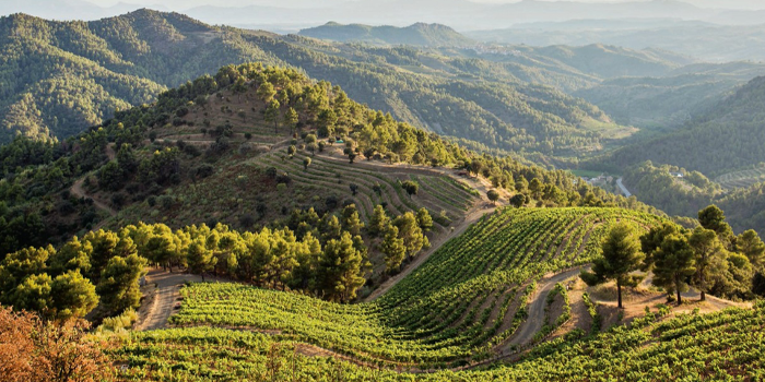Priorat