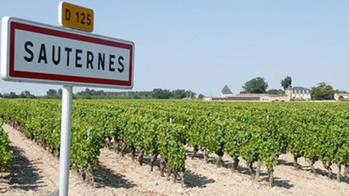 Sauternes